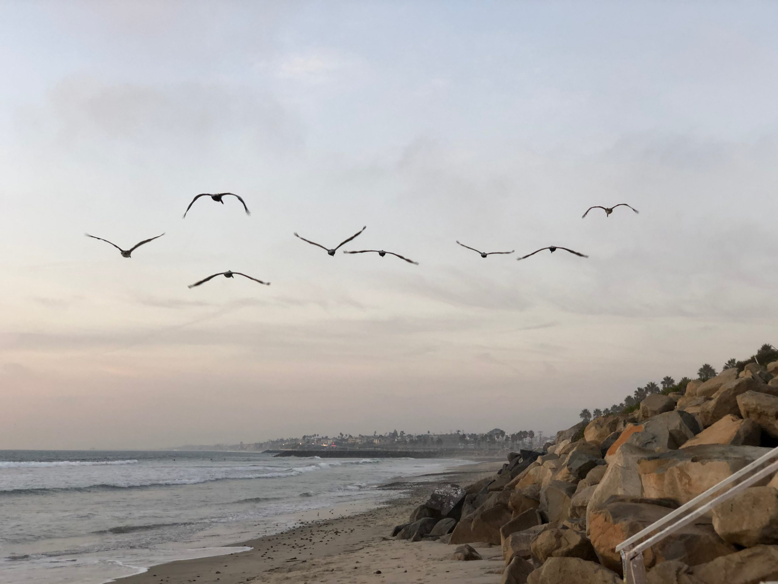 Header Image
